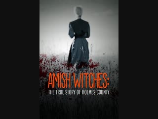 amish witches: the true story of holmes county 2016