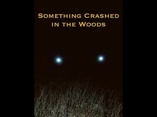 something crashed in the woods / 2019